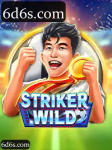 StrikerWILD